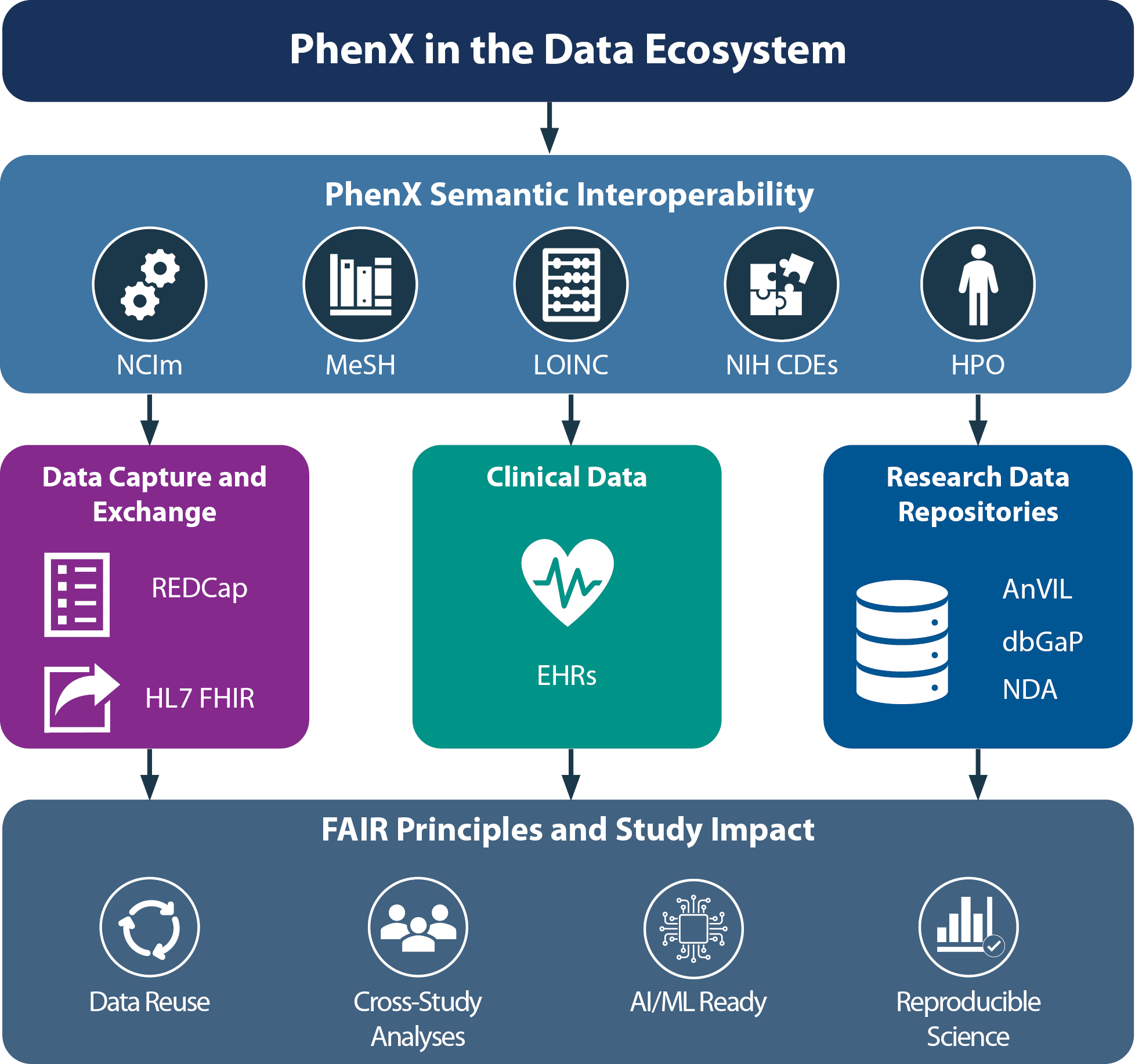 Contains images of standards (LOINC, SnowMed CT, HL7 FHIR), ontologies (MeSH, Human Phenotype Ontology, Bio Portal), common data elements (NIH CDE Repository, National Cancer Institute), data collection tools (REDCap), repositories (dbGap), and resources (NIH NIEHS, Medical Data Models, NCI Meta Thesauraus) that are connected to the PhenX Toolkit.
